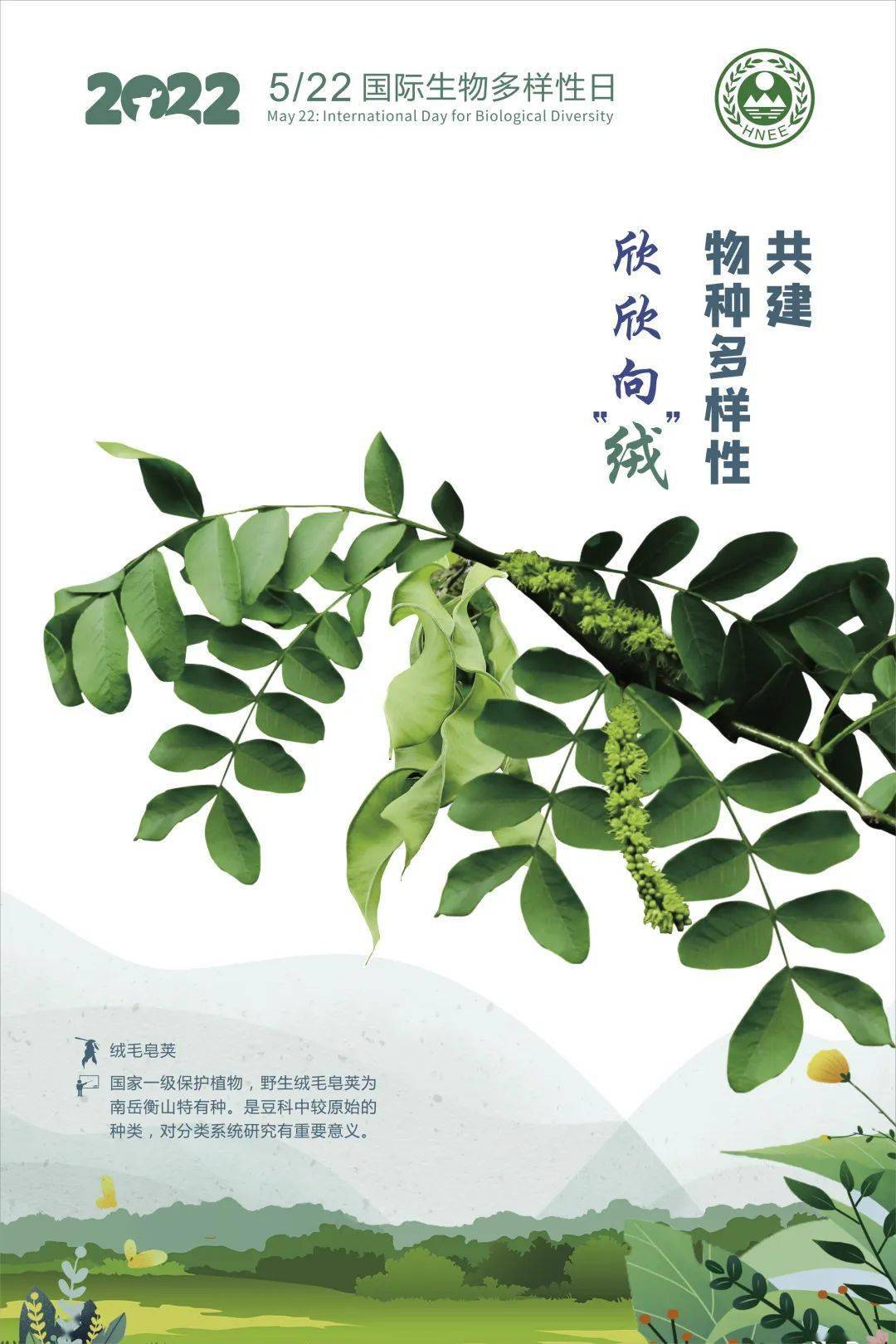 522国际生物多样性日湖南主题海报展物种篇