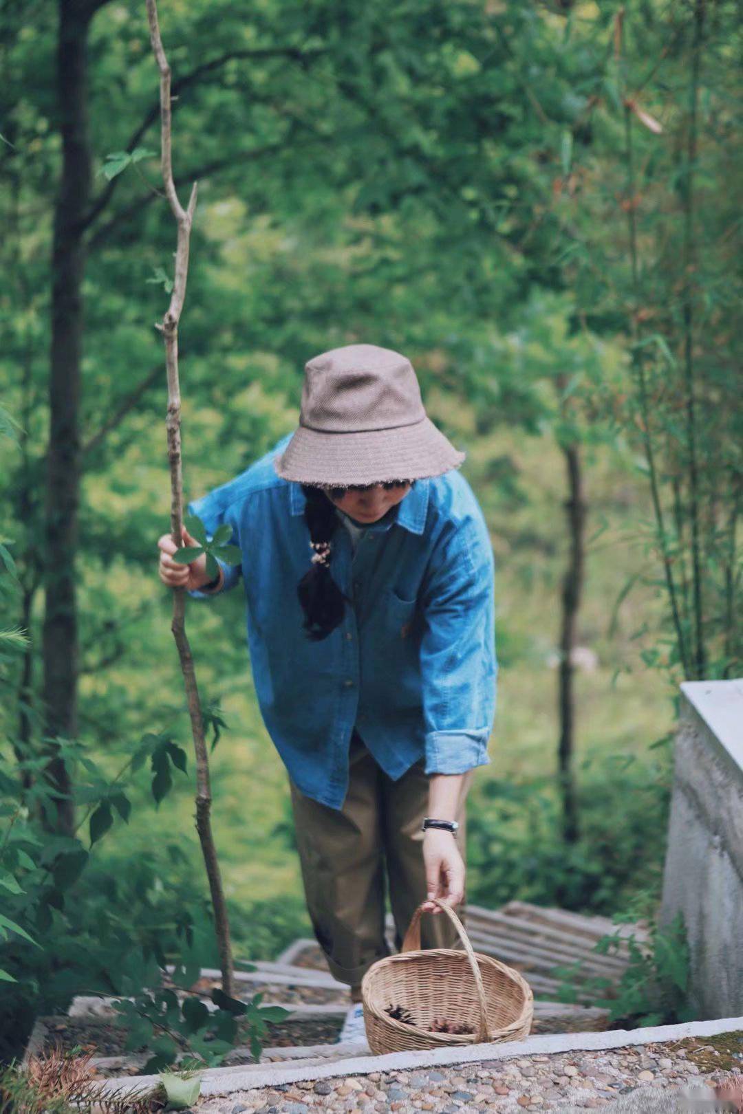 山居岁月长:周末去了趟山里,住小木屋,听雨声_路边摘_白茶_日子