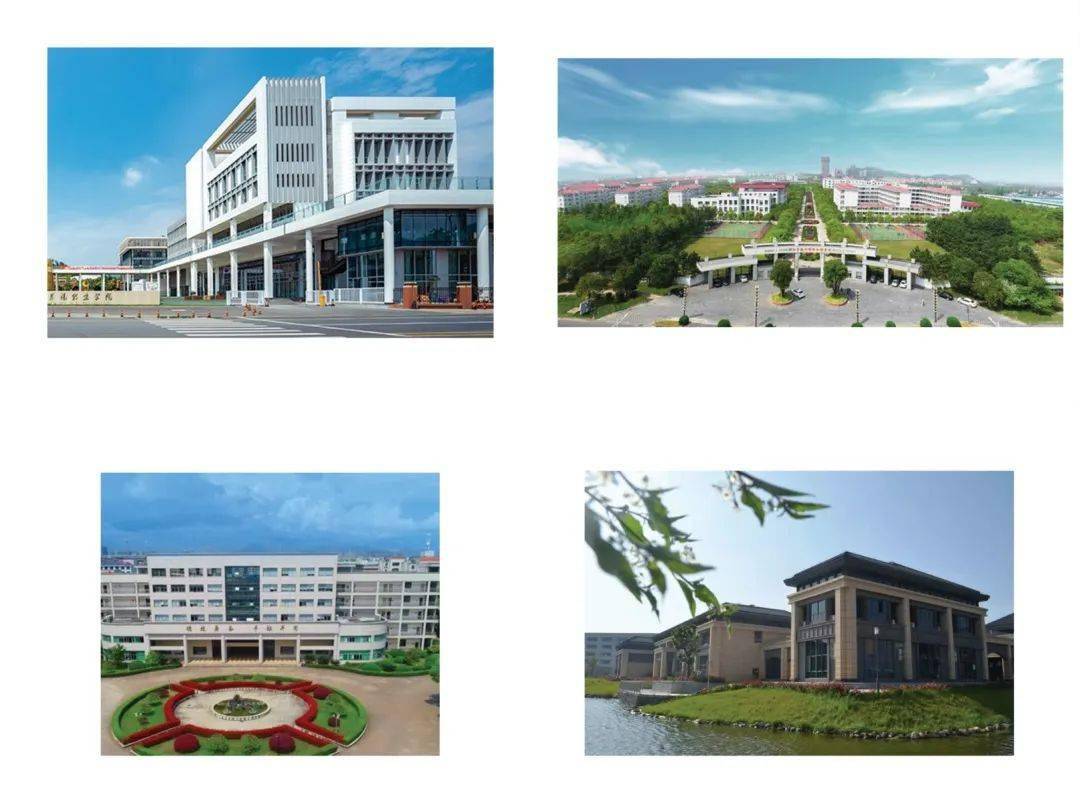 【技能成才 强国有我】看丽水旅游学校:青春播种梦想 卓越收获未来 为