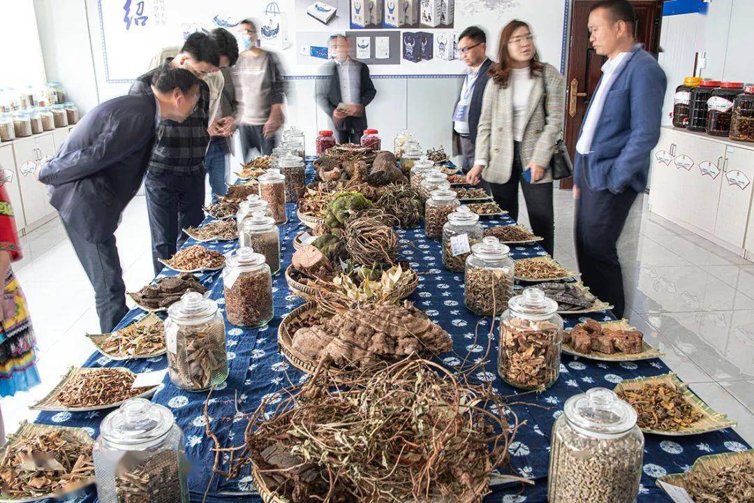 盘州发布苗十三全国市场在盘启动