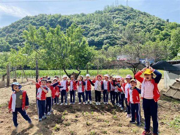 農耕文化體驗勞動教育神農鎮中心幼兒園開展種植勞動教育暨戶外研學