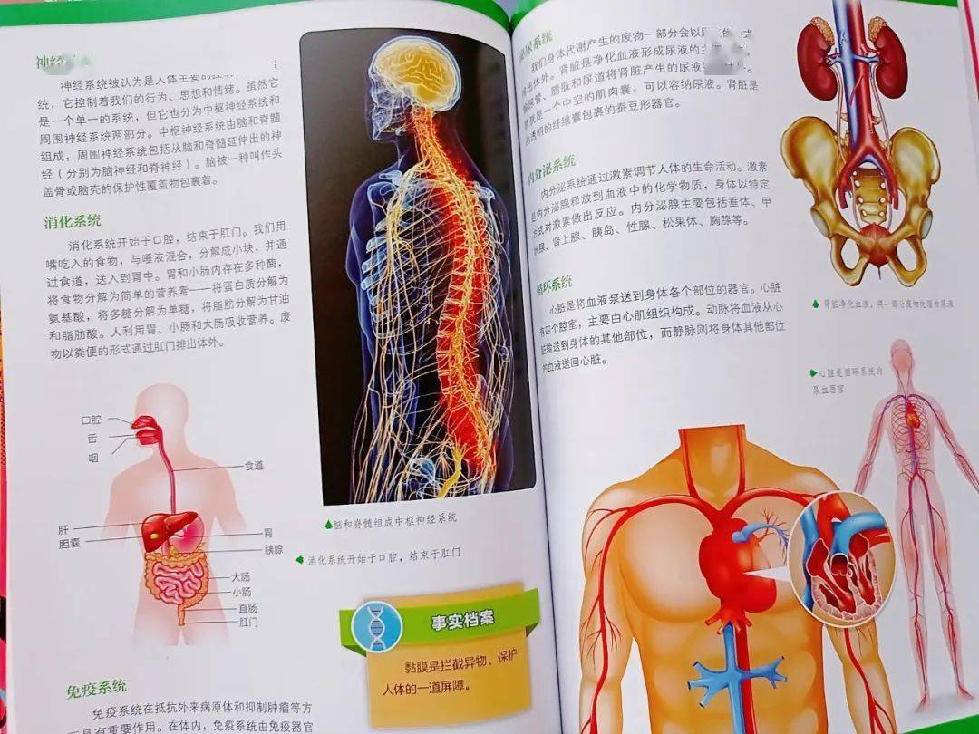 这套硬核的stem教育课本 一次性搞定孩子理化地生四门课 科学 知识 静电