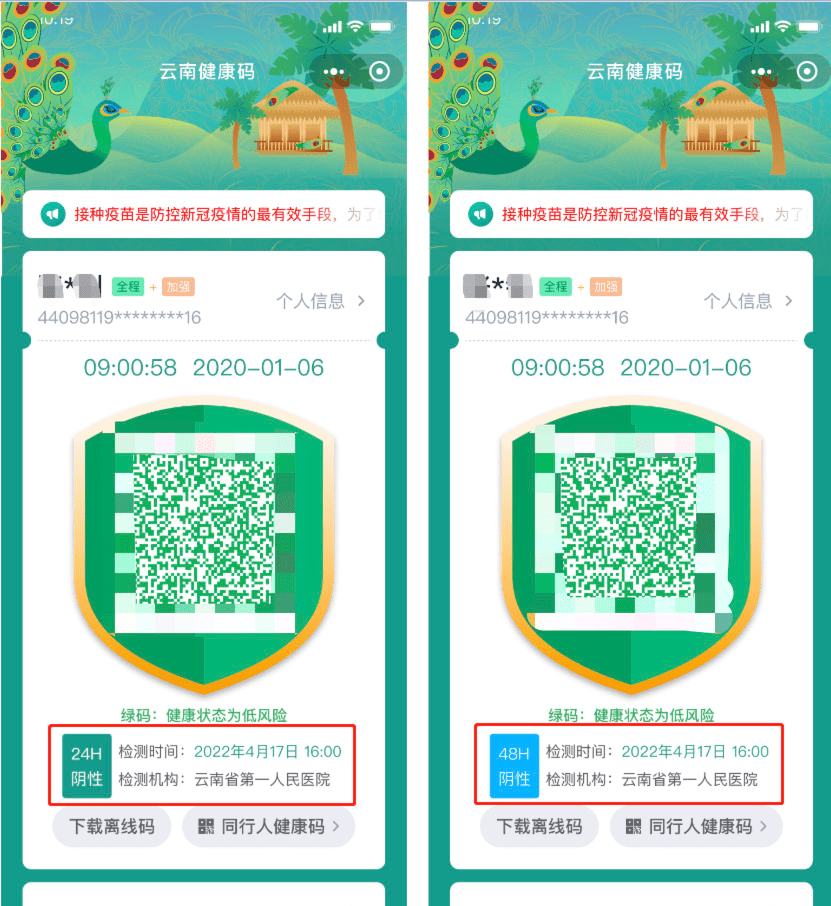 云南健康码有变文山人你发现了吗