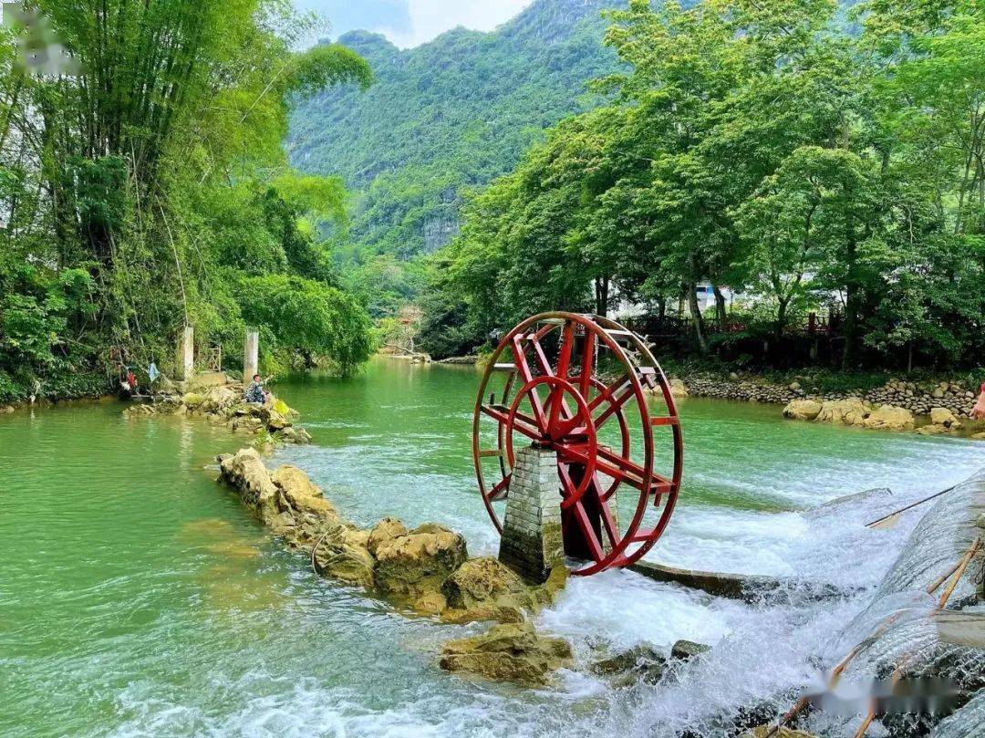 绿树成荫这里山清水秀 景色宜人倒映周边无限好风景河流水清见底它的