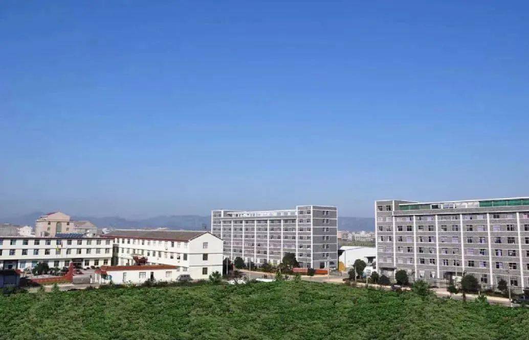 5月11日,是箬横镇东浦村的集市日,也是高龙帽行的收帽日.