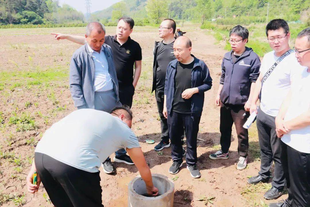 黄陵县店头镇筑牢粮食安全耕基高标准农田建设让粮田变良田