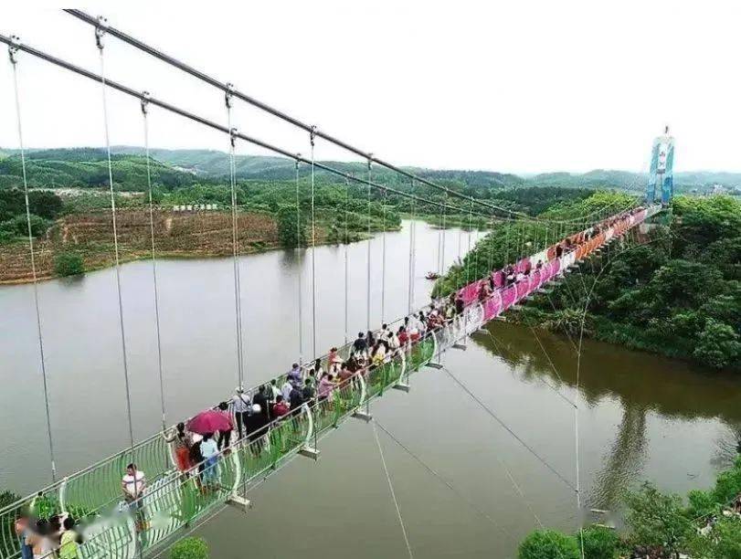 花雨湖玻璃桥限时免费玩,只需一个步骤!_景区_南阳镇_南宁