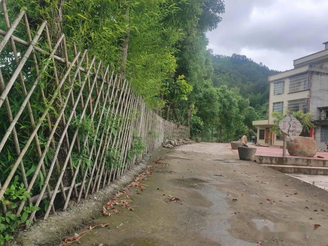 德保足荣镇着力打造凝固的文明艺术