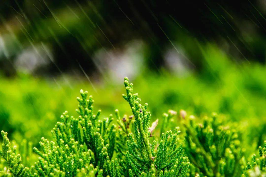 雨點_雷聲_地面