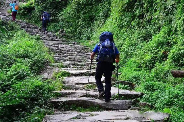 无锡宁熟悉的这两条千年古道,即将变身……_改造_胡埭镇_滨湖区