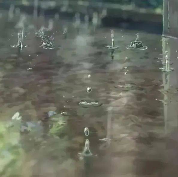 雨雨雨！泰顺接下来的天气…_影响_衣服_方法