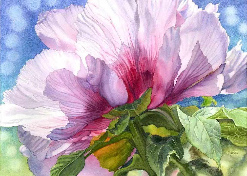 花卉光影效果的极致表达加拿大女画家marneyward笔下的鲜花世界