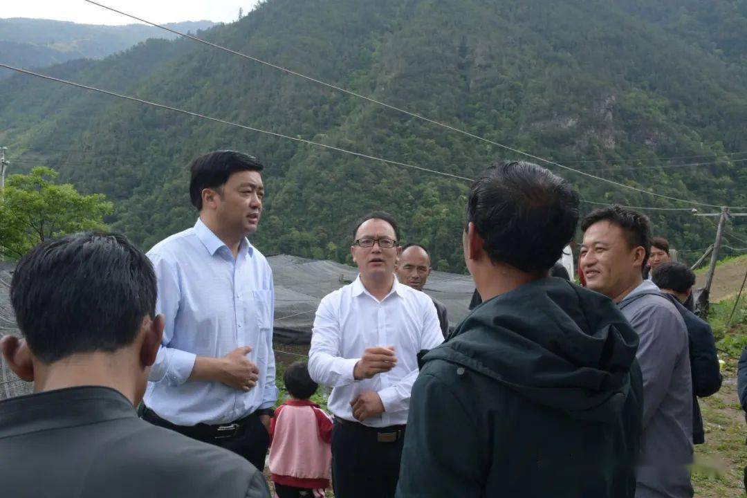 马国忠到霞若乡调研农民增收工作