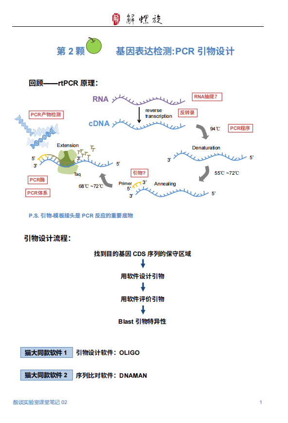 hoechst33342染色步骤图片