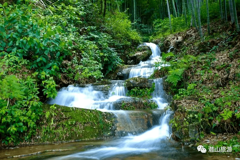 龙之源竹有气节水则高洁