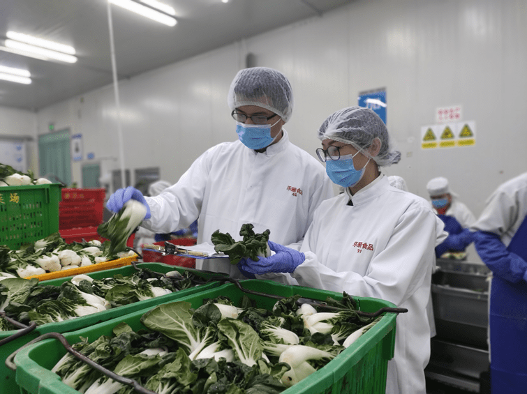 广东绿色通道助力新鲜蔬菜供港通关加速度