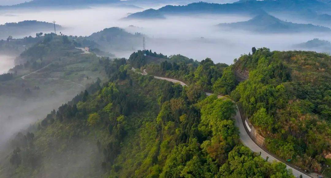 一起来龙泉山"森"呼吸 "林"距离_城市_项目_文化