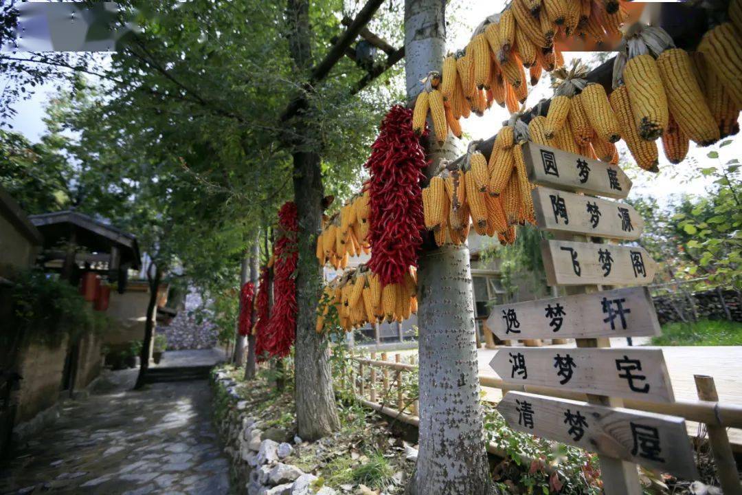 魅力→ 陇南_城市_建设_乡村