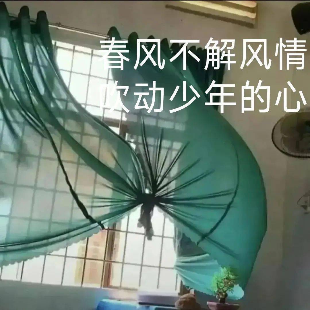 沙雕搞笑表情包 i 当场乐死_熊猫头_人生_什么