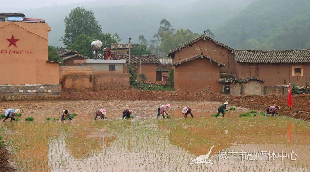和平镇实施土地增减挂钩增添乡村振兴活力