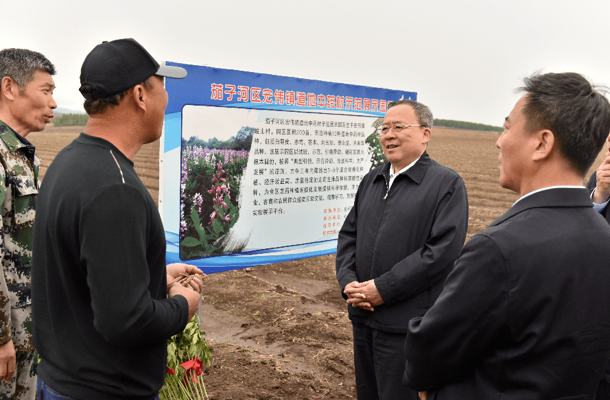 七台河市茄子河区区长图片