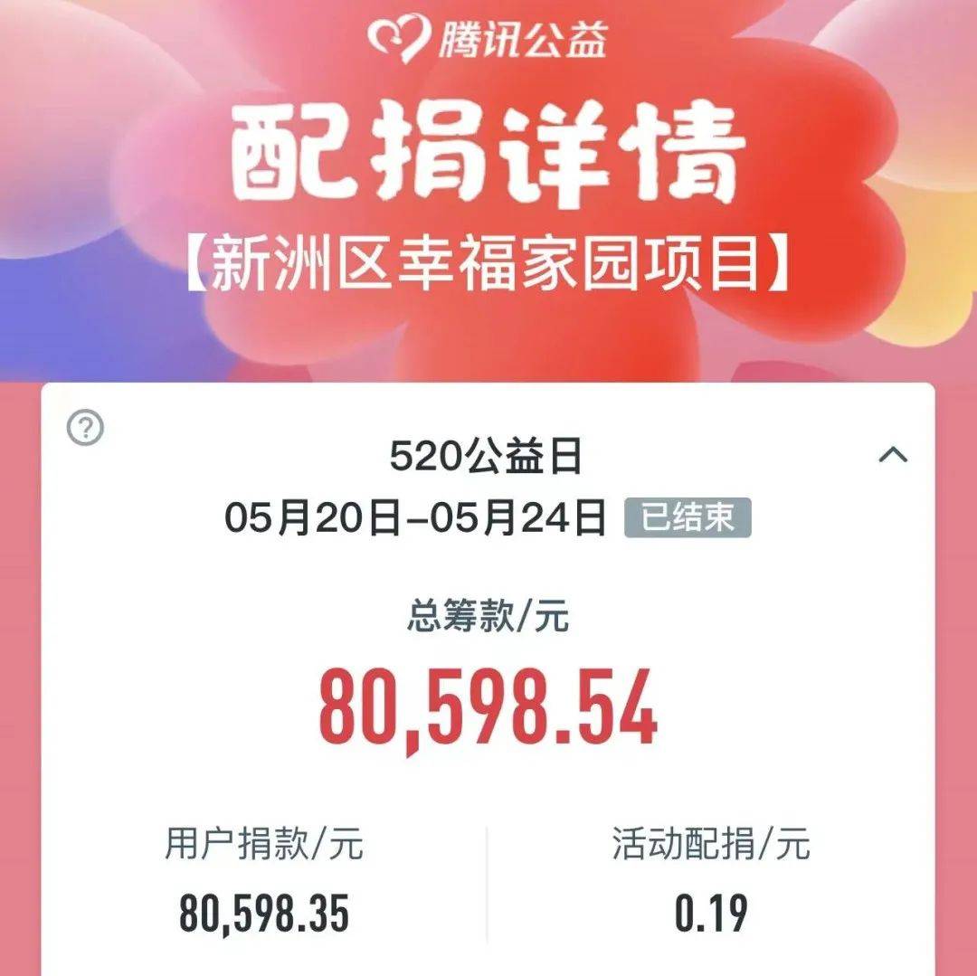 线上公益 筹款100多万_新洲区_项目_活动