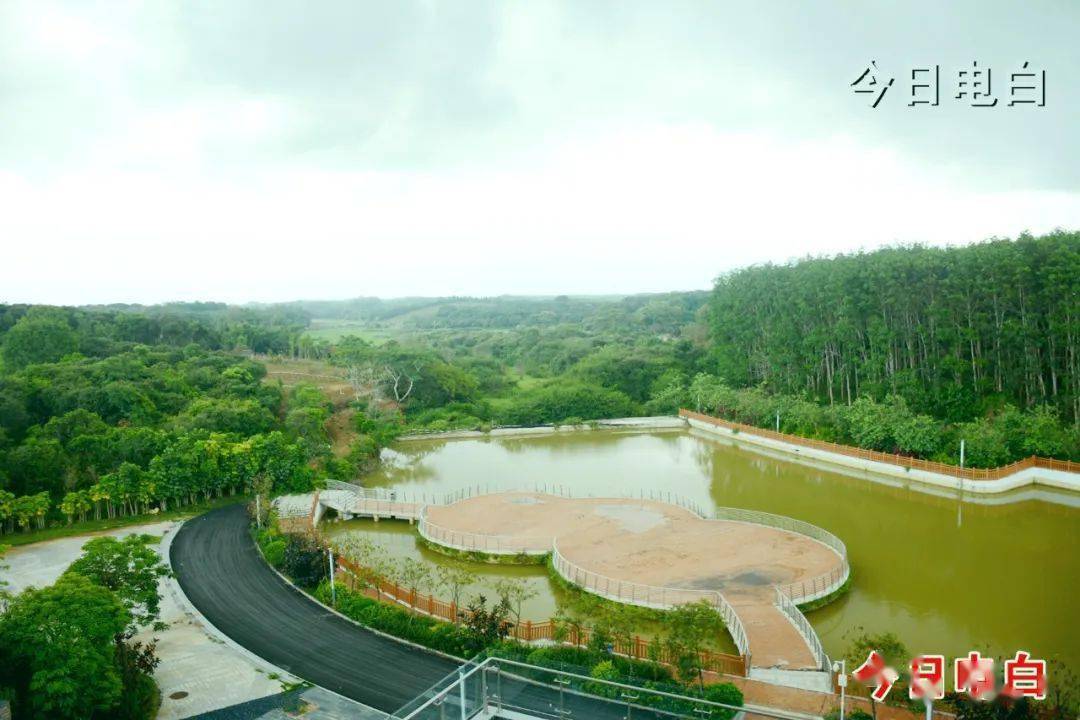 观珠镇_沙琅镇_问题