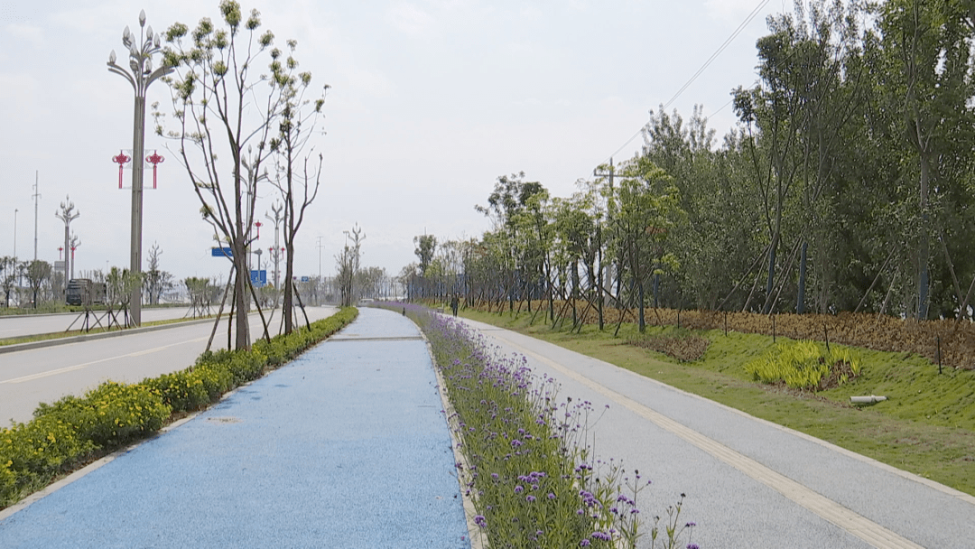 "西昌市海绵办技术员朱春碧表示"目前新建,改建的道路,人行道全部