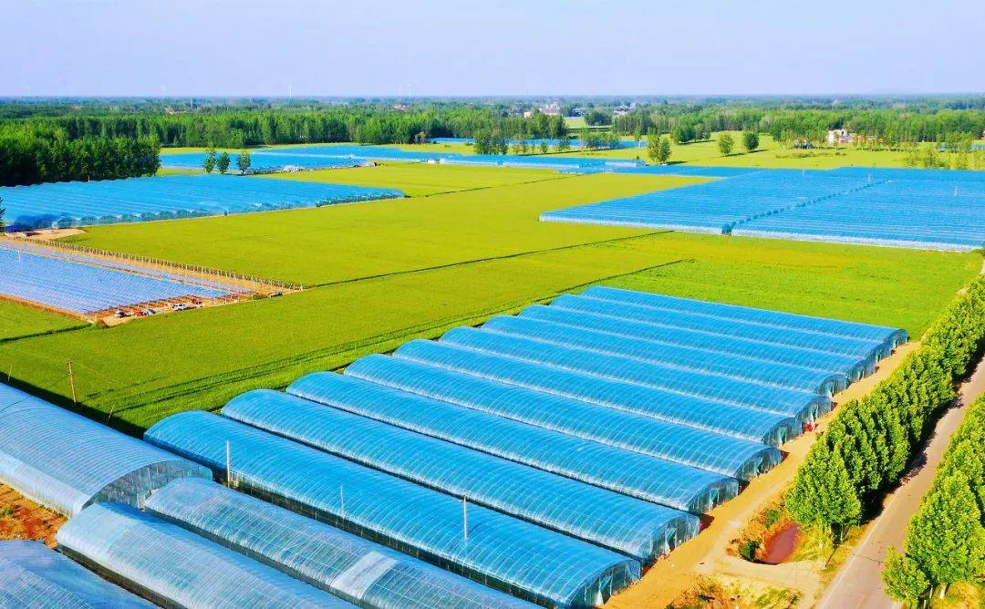 夏邑县北岭镇好一幅现代农村的美丽画卷