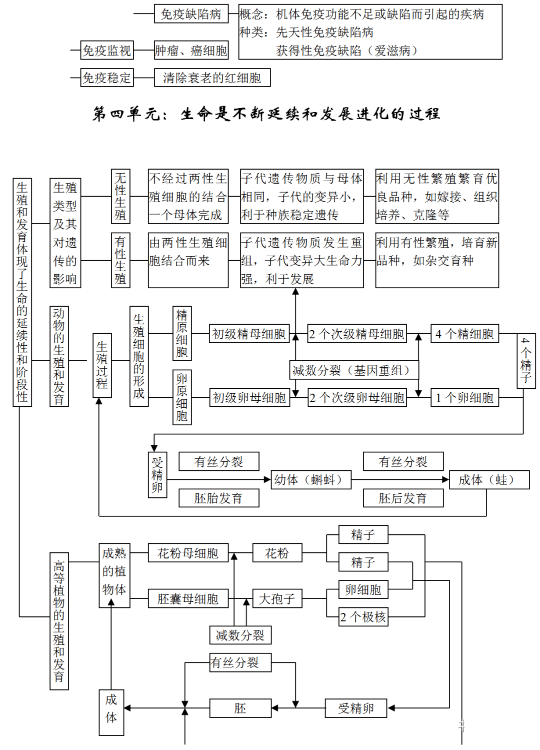 高考生物 高中生物知识点思维导图汇总