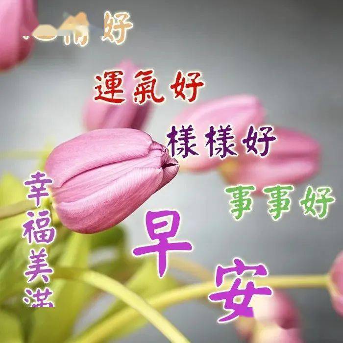 6767群发微信早上好快乐祝福短信精选推荐早安漂亮问候祝福语美图