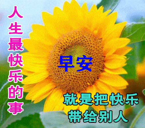 早上好动态表情图片大全早晨好动图美图大全