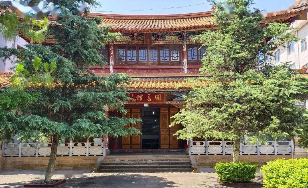 趣打卡丨藏在学校里的高颜值图书馆_楚雄_龙泉_部分