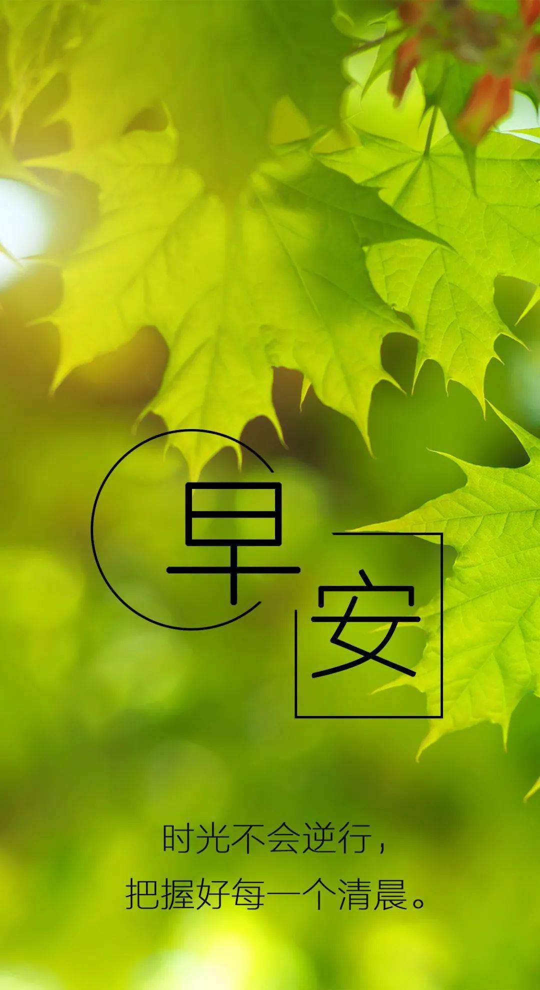 早上好清晨短信祝福你祝你开心每一天