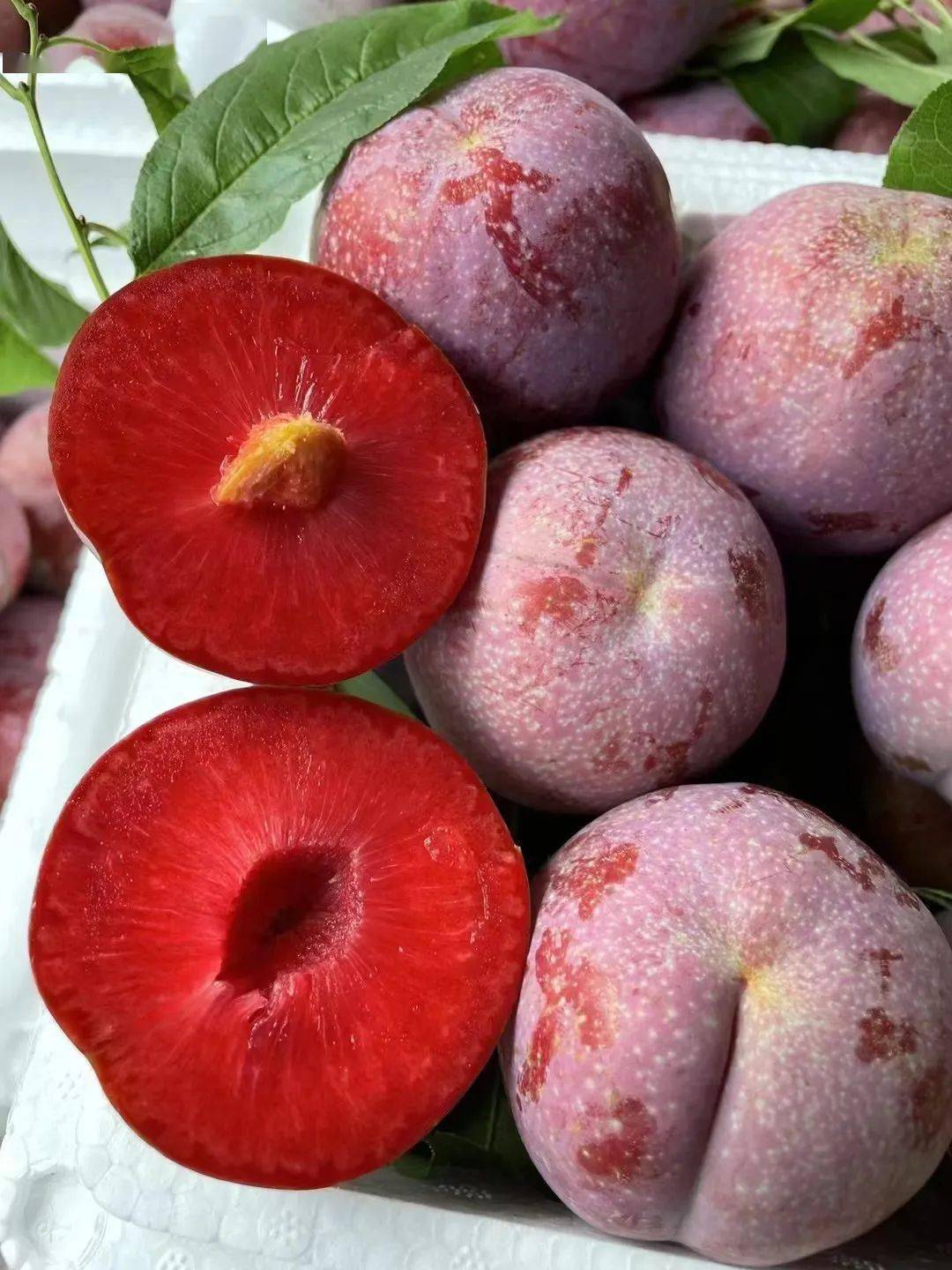 信宜三华李大量上市啦看到都流口水