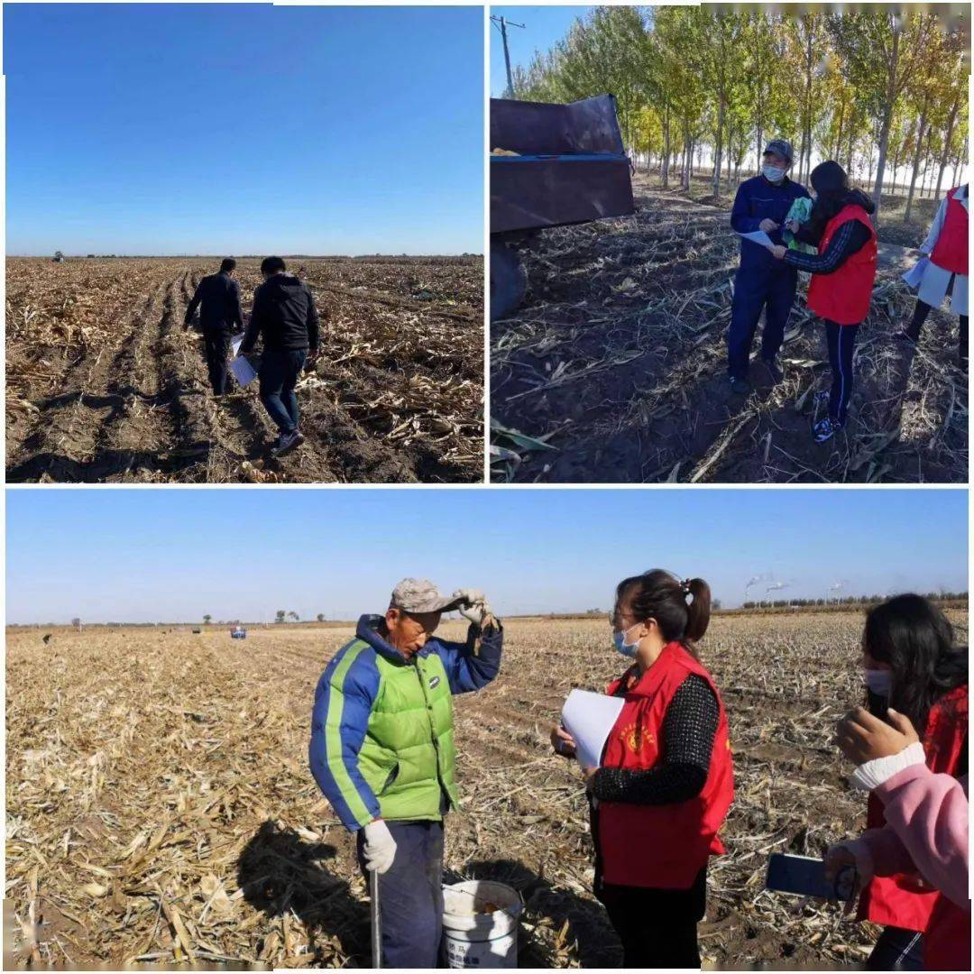 一站一品富拉尔基区小积分释放大能量激发乡村治理新活力
