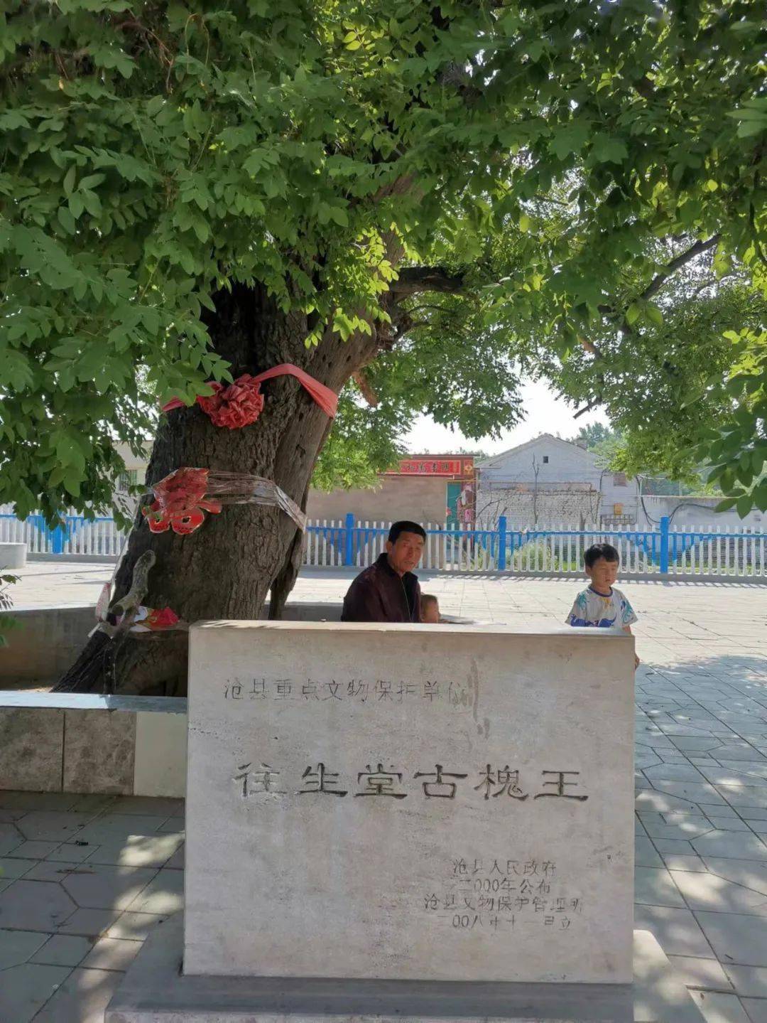 往生堂的哭声和大槐树的眼泪河北作家彭玲竹简很重,绢帛很贵,没有哪一