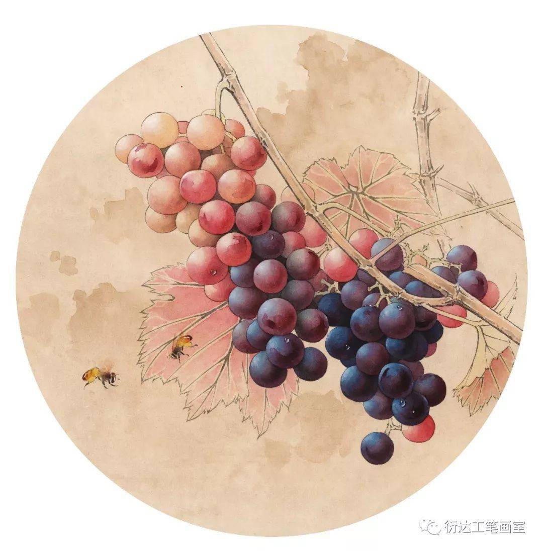 魏衍达工笔画集每张都很精彩太赞了