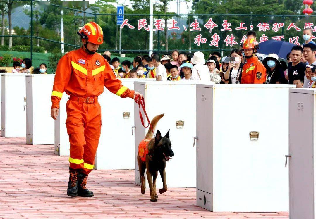 别样"六一 粉丝进站体验消防 探秘泉州消防搜救犬基地