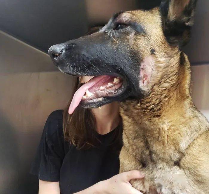 eva_erin_胡椒喷雾