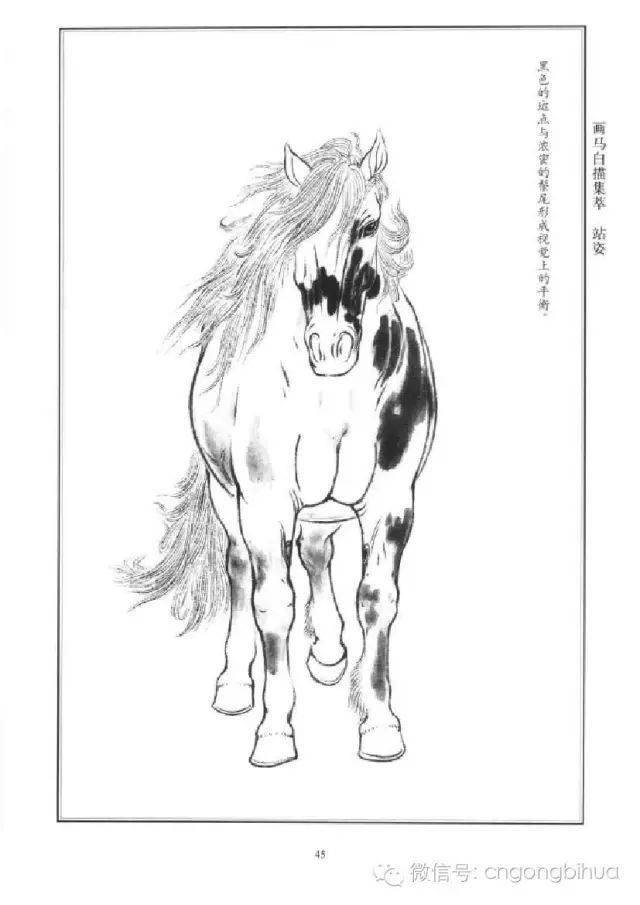 画马白描集萃