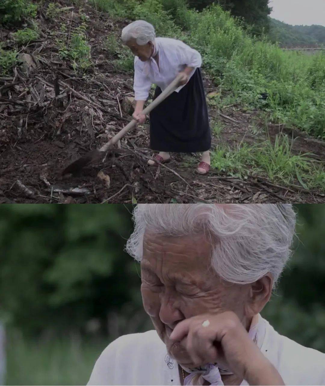 3神作,400万网友直呼:我又相信爱情了!_姜溪烈_老奶奶_老爷爷