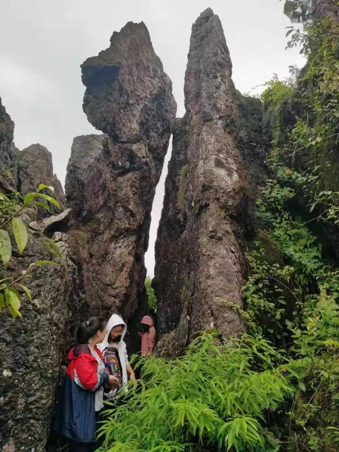 解鎖端午微旅行龍馬山喊你一起露營啦