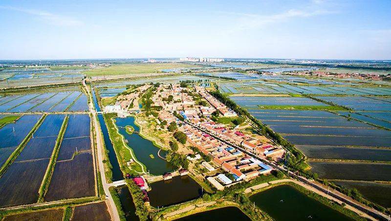 天津宝坻区幸福新农村