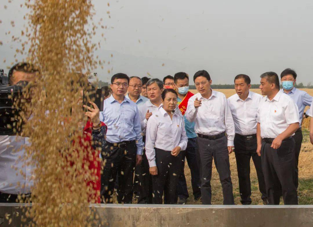 雨润风调入夏炎河东小麦早开镰运城市小麦收获开镰仪式在盐湖区解州镇