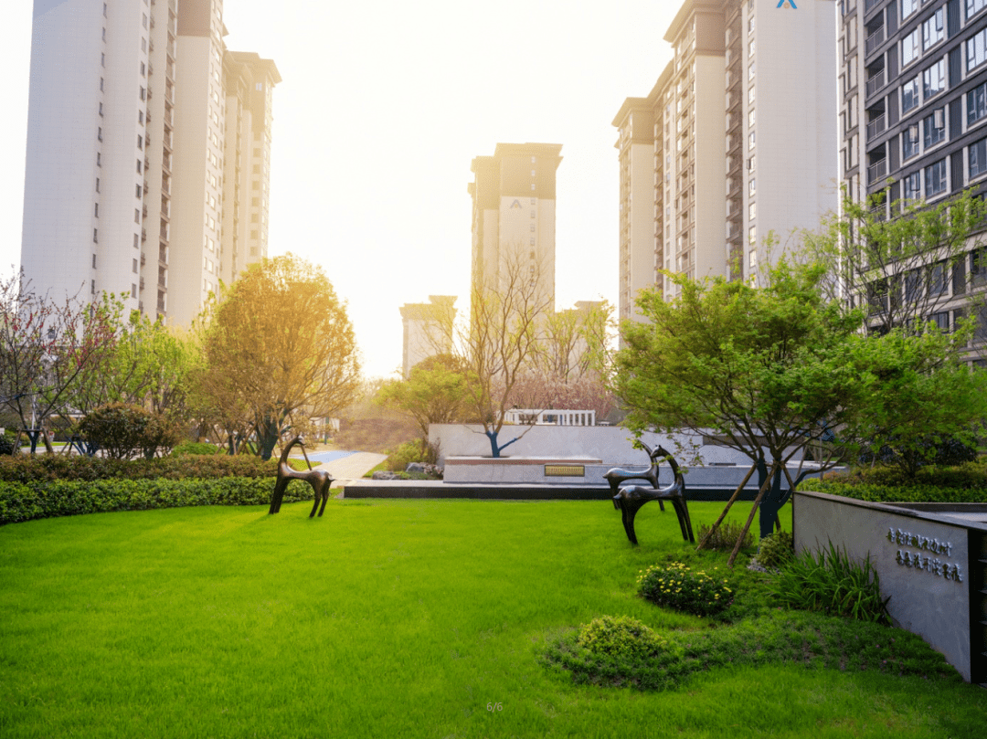 驻马店建业图片