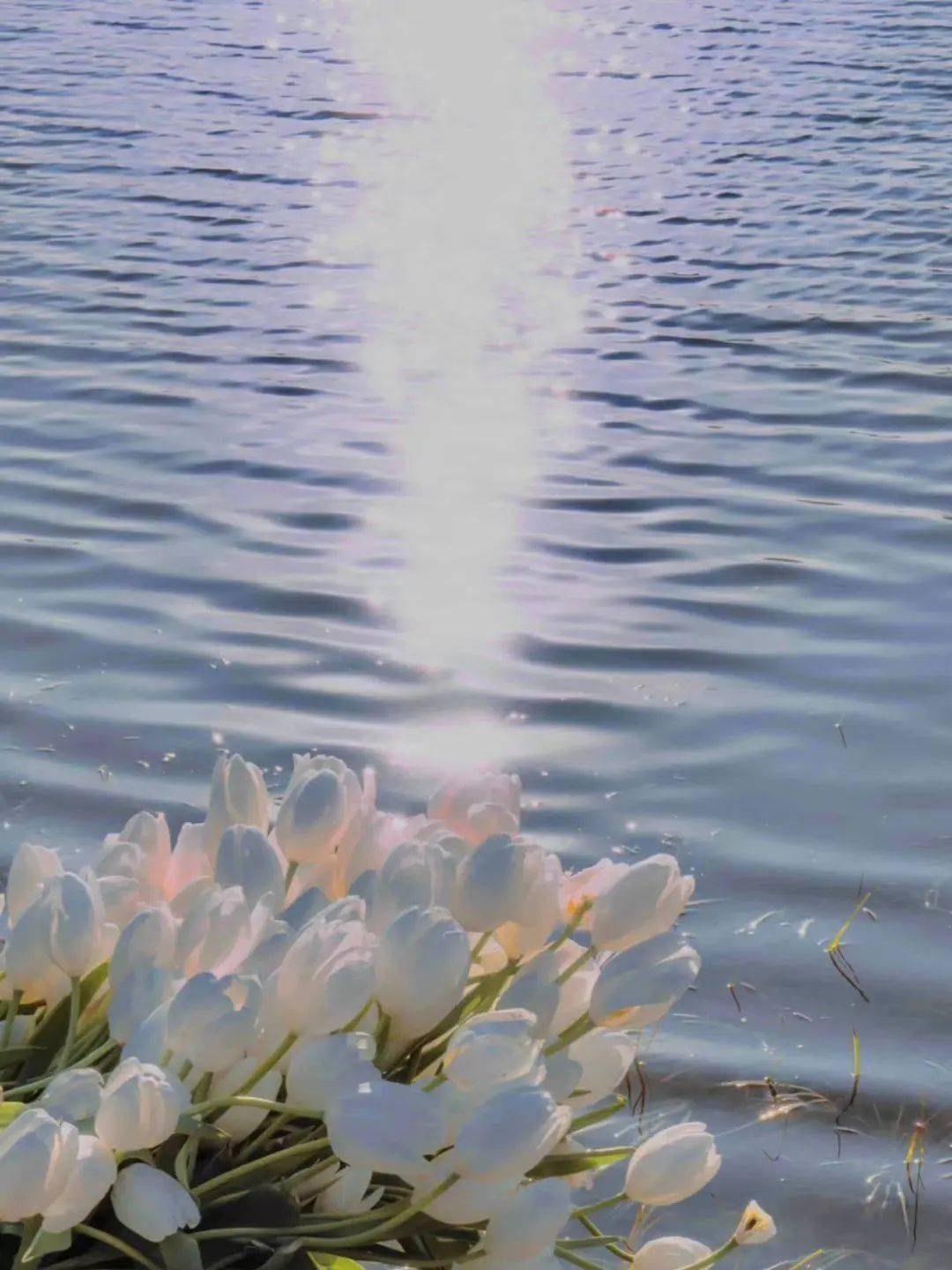 小小说|再相逢(下)_凌飞_夏月_少年