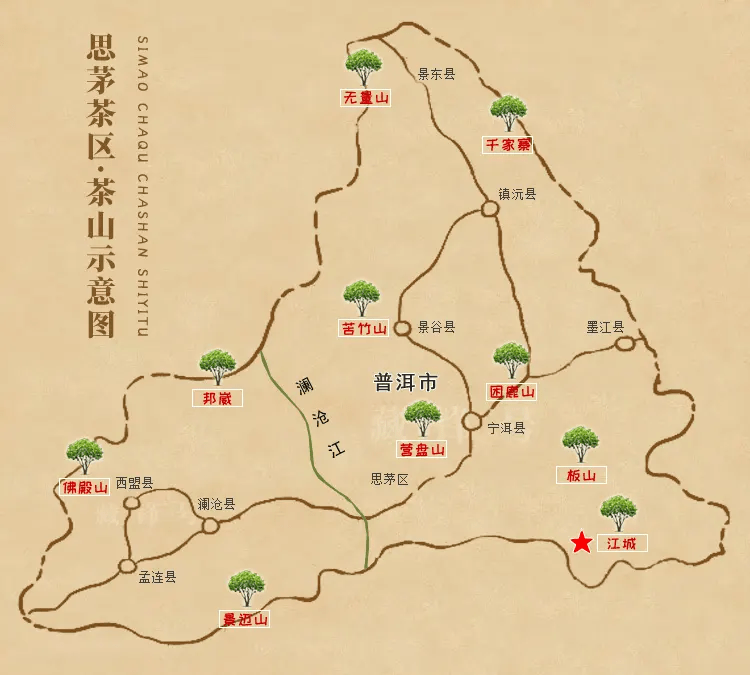 普洱茶区小户赛古树茶条索肥大,冲泡后汤色淡黄清亮,香气高锐,蜜香