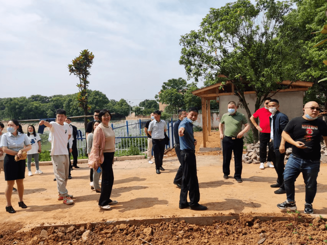 勤勞村諶家咀美麗鄉村項目,友愛村天子山大橋擬建現場,金林公司生態種