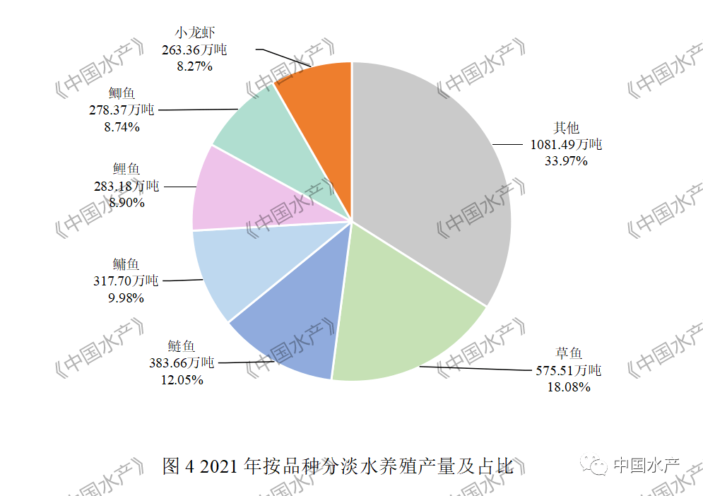 致富龙虾养殖小视频大全_致富经龙虾养殖技术视频_致富经养殖小龙虾